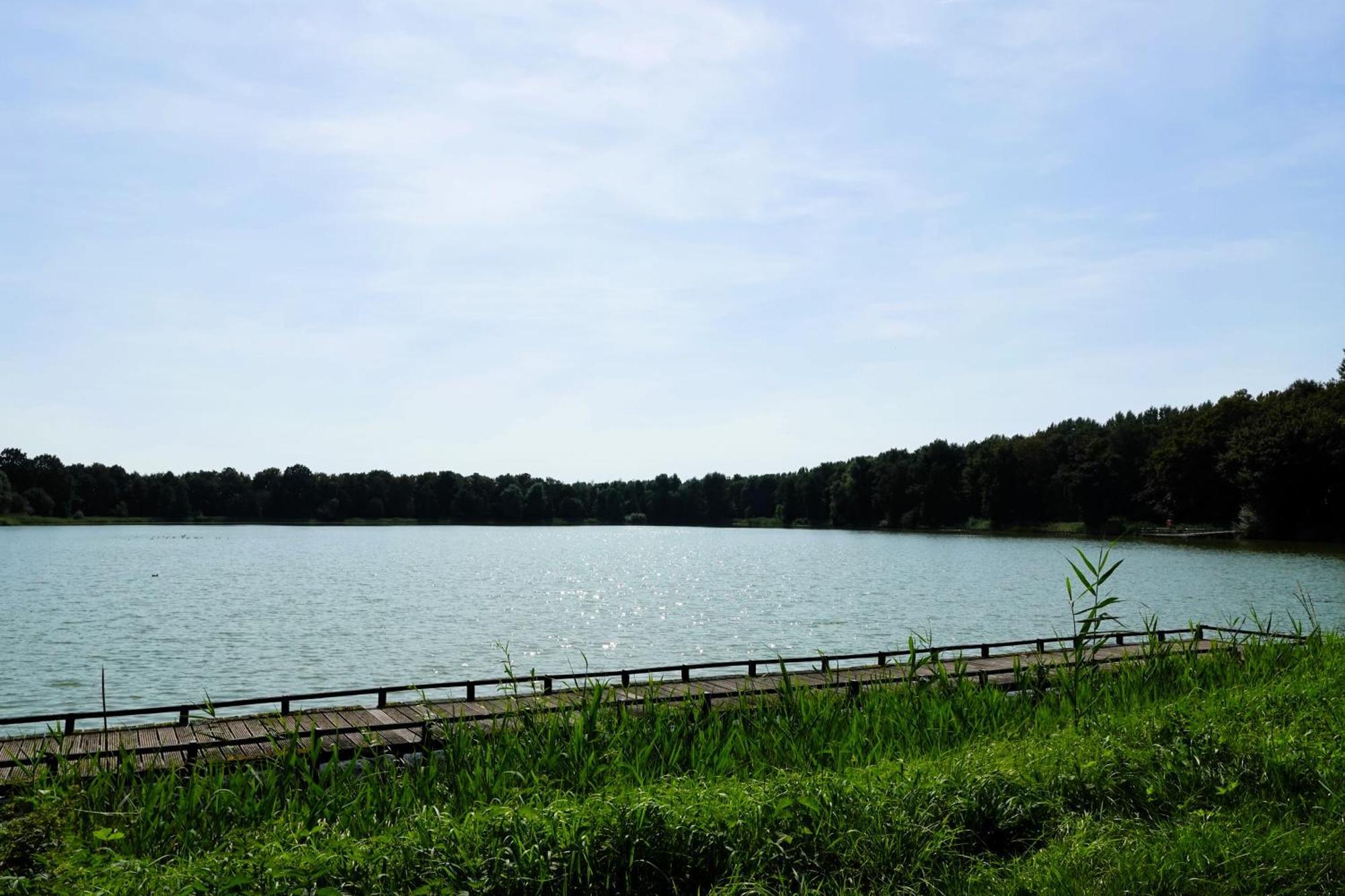 Tiny Zen House In Heinkenszand With Private Sauna, Airco, Outdoor Swimming Pool, Wifi And 2 Bedrooms Exterior foto